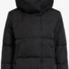 Object Winterjassen Winterjas Louise Dames Zwart -Kledingwinkel 10064e1eeb53522cd1cc24f4a37f9b62