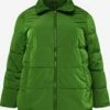 Winterjassen Winterjas Dames Groen -Kledingwinkel 1487e40d3a0c43b1fc778b28f50ee7ef