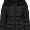 ONLY Gewatteerde Jassen Winterjas Camilla Dames Zwart -Kledingwinkel 25b99c16c1dd046fa42a05adaf427f8e