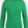 Gerry Weber Coltruien Trui Dames Groen -Kledingwinkel 2deb0667881cbcf3797d09cebf32e8a9