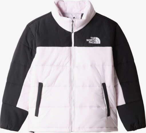 The North Face Winterjassen Winterjas Dames Pastellila -Kledingwinkel 5d2ce7ea9771d6ecd930e19a00c50221