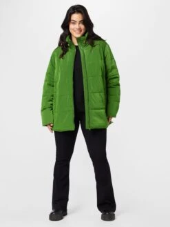 Winterjassen Winterjas Dames Groen -Kledingwinkel 879da4db5b8b93750aa3f0dccaebd5c2