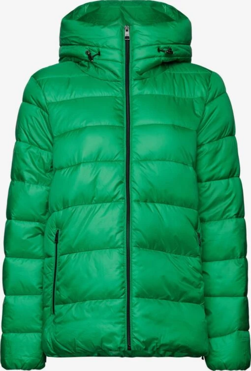 ESPRIT Gewatteerde Jassen Winterjas Dames Groen -Kledingwinkel 8ee0c7cb7e221580df4018631e886198 scaled