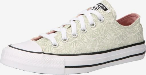 Converse Skate Sneakers Sneakers Laag Chuck Taylor All Star Dames Lichtgroen -Kledingwinkel 92ad0ac4f5d8192492a88b09fe31c64a