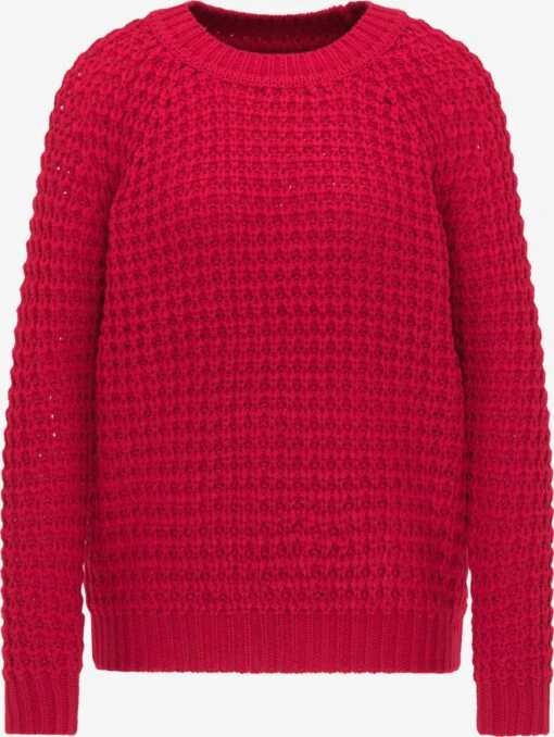 MyMO Basic Truien Trui Dames Cranberry -Kledingwinkel 96d11a289be2a64ec8b5d3f05972a0ee scaled