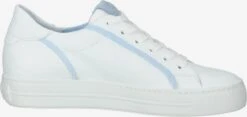 Paul Green Casual Sneakers Sneakers Laag Dames Wit -Kledingwinkel a4e63eb04e4d3d9f26286c503657779e