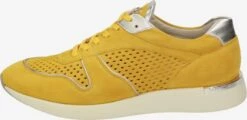 Fashion Sneakers Sneakers Laag Malosika Dames Geel -Kledingwinkel ac0e743a3302c862da8902dd83349f6b